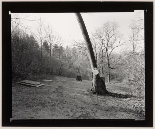 The Vanderbilt Cemetery, Staten Island, New York, 1993
