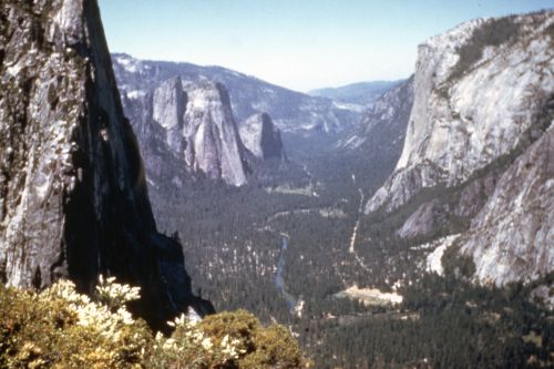 Slide potentially showing Yosemite National Park for Olmsted: L'origine del parco urbano e del parco naturale contemporaneo