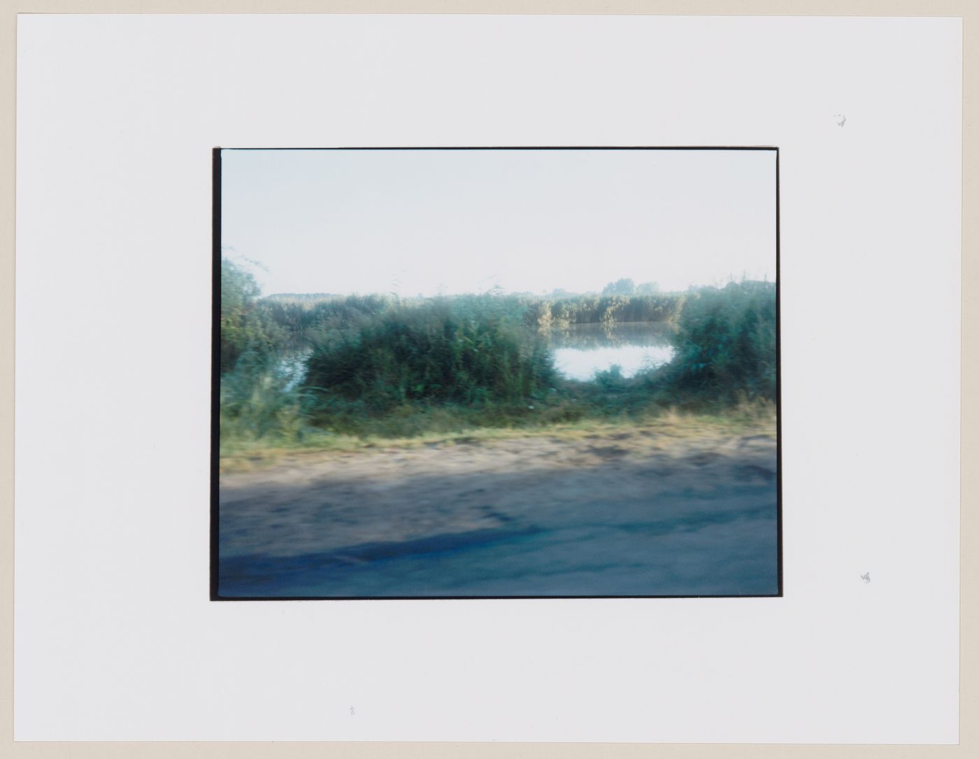 View of a lake, trees and vegetation, Dobiegniew, Poland (from the series "In between cities")