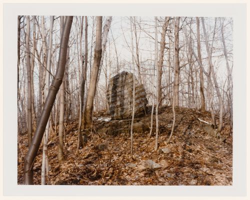 Viewing Olmsted: View of Rock in the woods, Mont Royal, Montréal, Québec