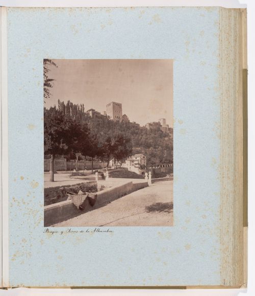 View of the forest and towers of the Alhambra from the Bridge of the Cistern, Alhambra, Granada, Spain 


