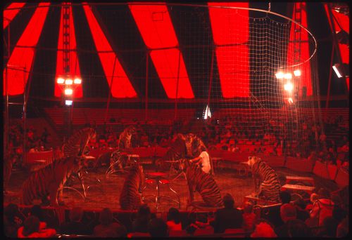 Circus, Kassel, Germany