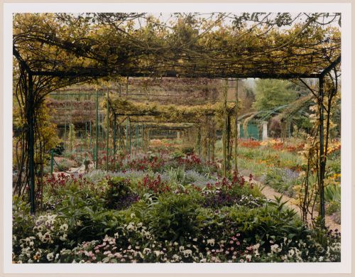 The "tombs" and the pergolas in the Spring, Monet Gardens, Giverny, France