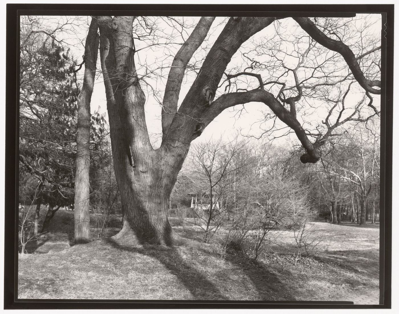 Nethermead, Prospect Park, Brooklyn, New York City, New York