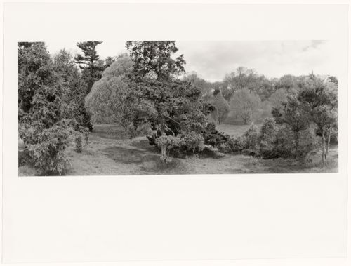The Arnold Arboretum, Boston, Massachusetts, 1994