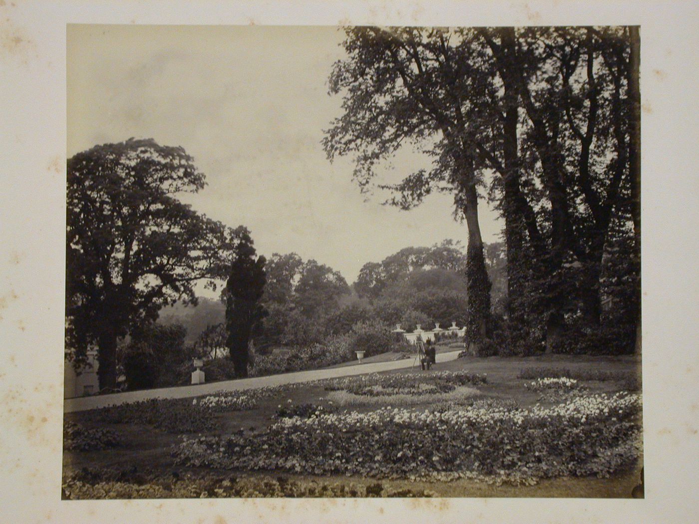 Alexandra Park