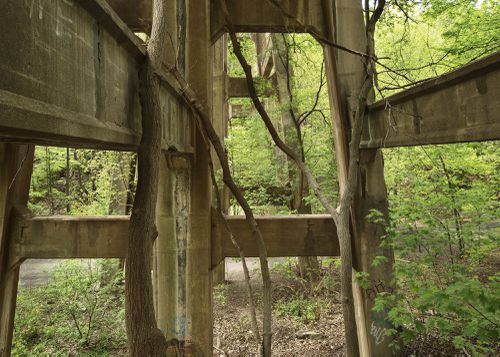 An Enduring Wilderness: Railway bridge, Moore Park Ravine, Toronto