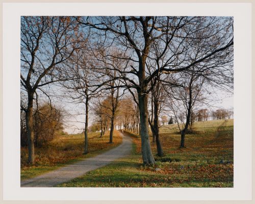 Viewing Olmsted: View of Planter's Hill from the Isthmus, World's End, Hingham, Massachusetts