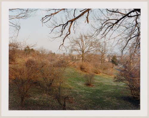 Viewing Olmsted: View of Looking north parallel to Arborway, The Arnold Arboretum, Boston, Massachusetts