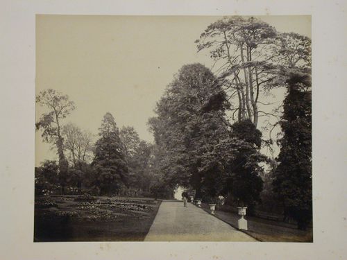 Alexandra Park, England