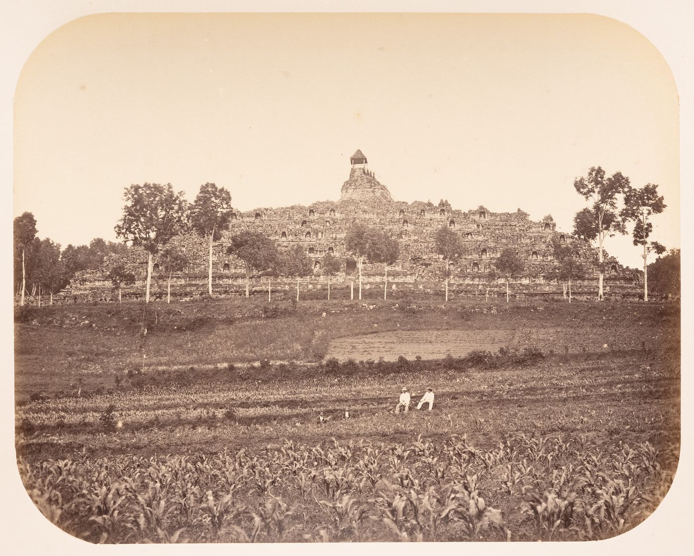 View of Borobudur showing cropland and people in the foreground, Dutch East Indies (now Indonesia)