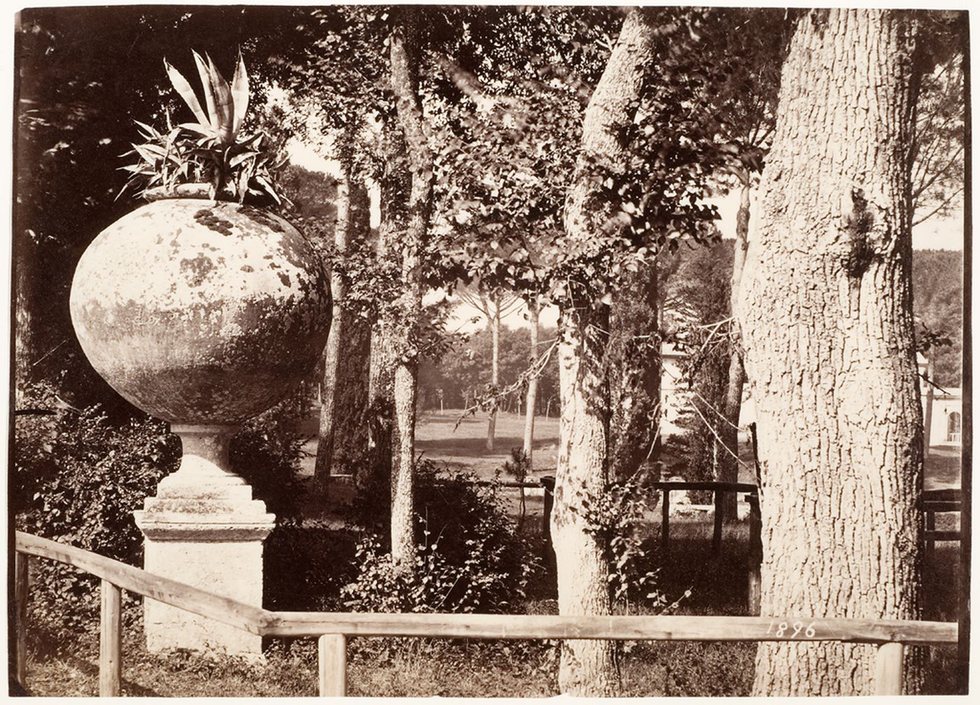 Landscape and garden study showing park with urn, Italy