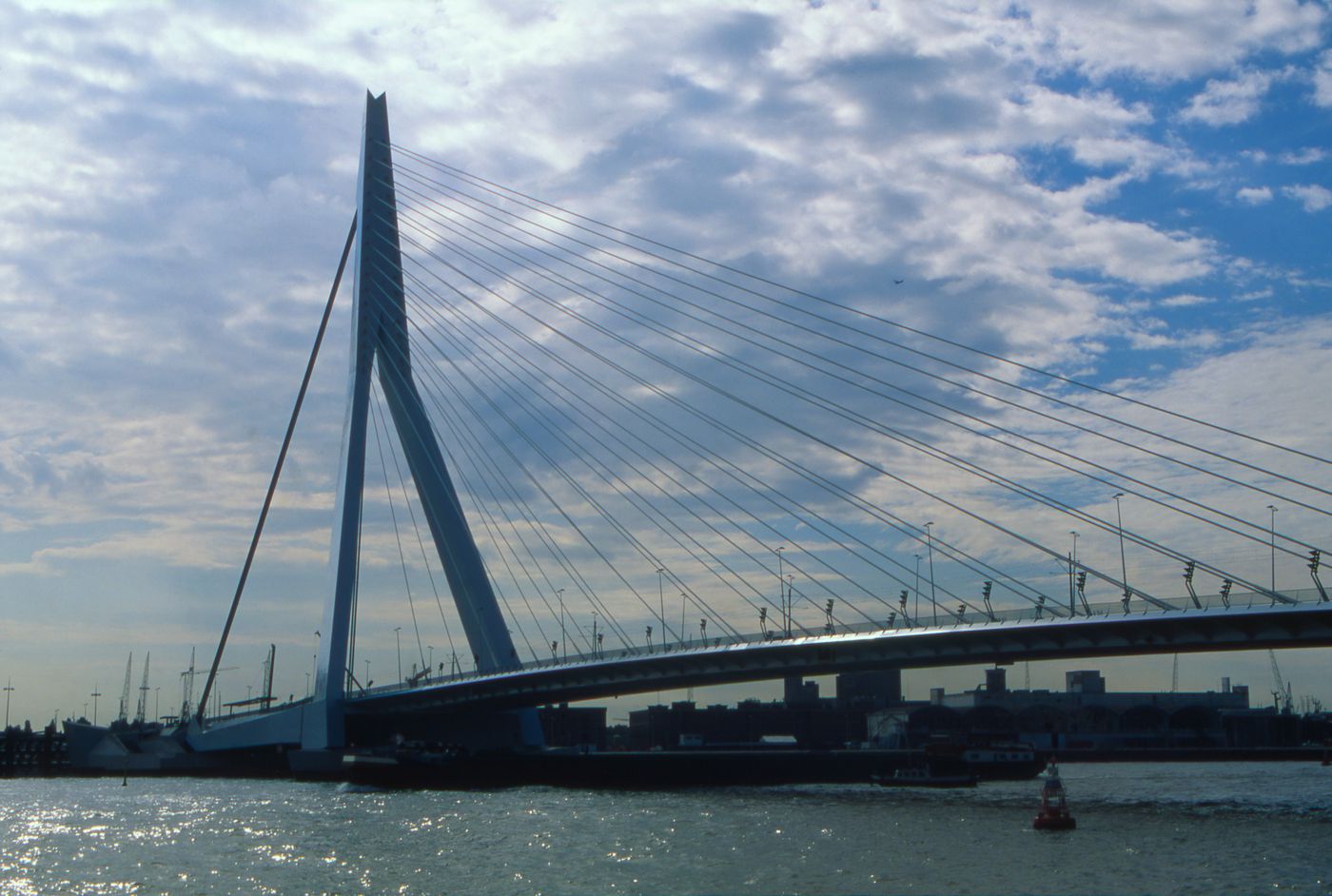 View of Erasmus Bridge, Rotterdam