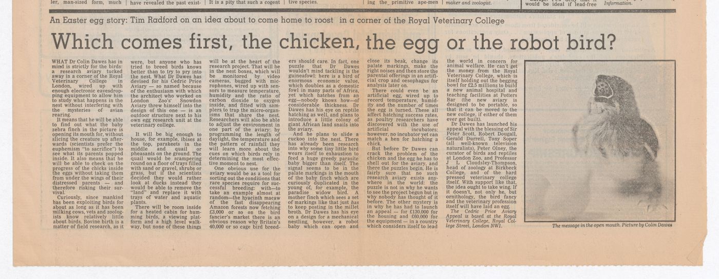 "Which comes first, the chicken, the egg, or the robot bird?", clipping from Futures Micro section of The Guardian