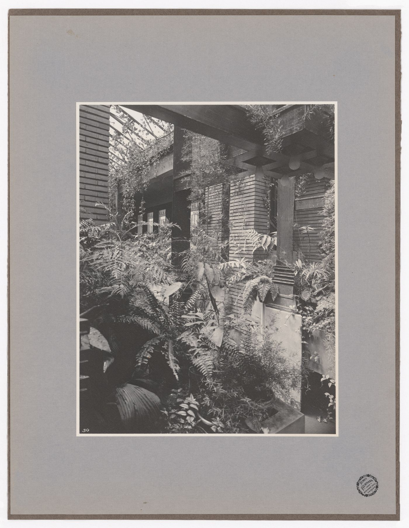 Interior view of Darwin D. Martin House showing the glazed roof of the conservatory and a plant, Buffalo, New York