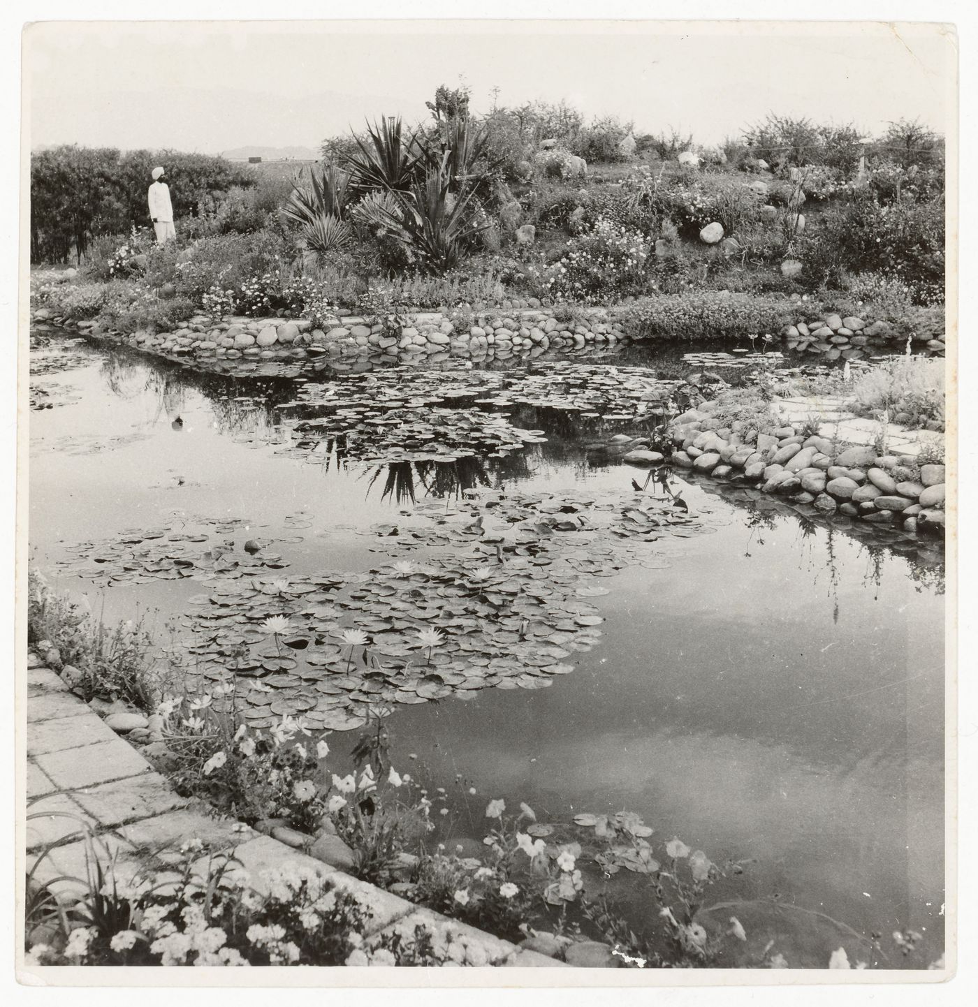 Photograph of Indian landcape likely near Chandigarh