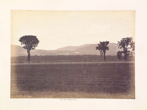 View of farmland with Mont Saint-Hilaire in the background, Beloeil, Québec