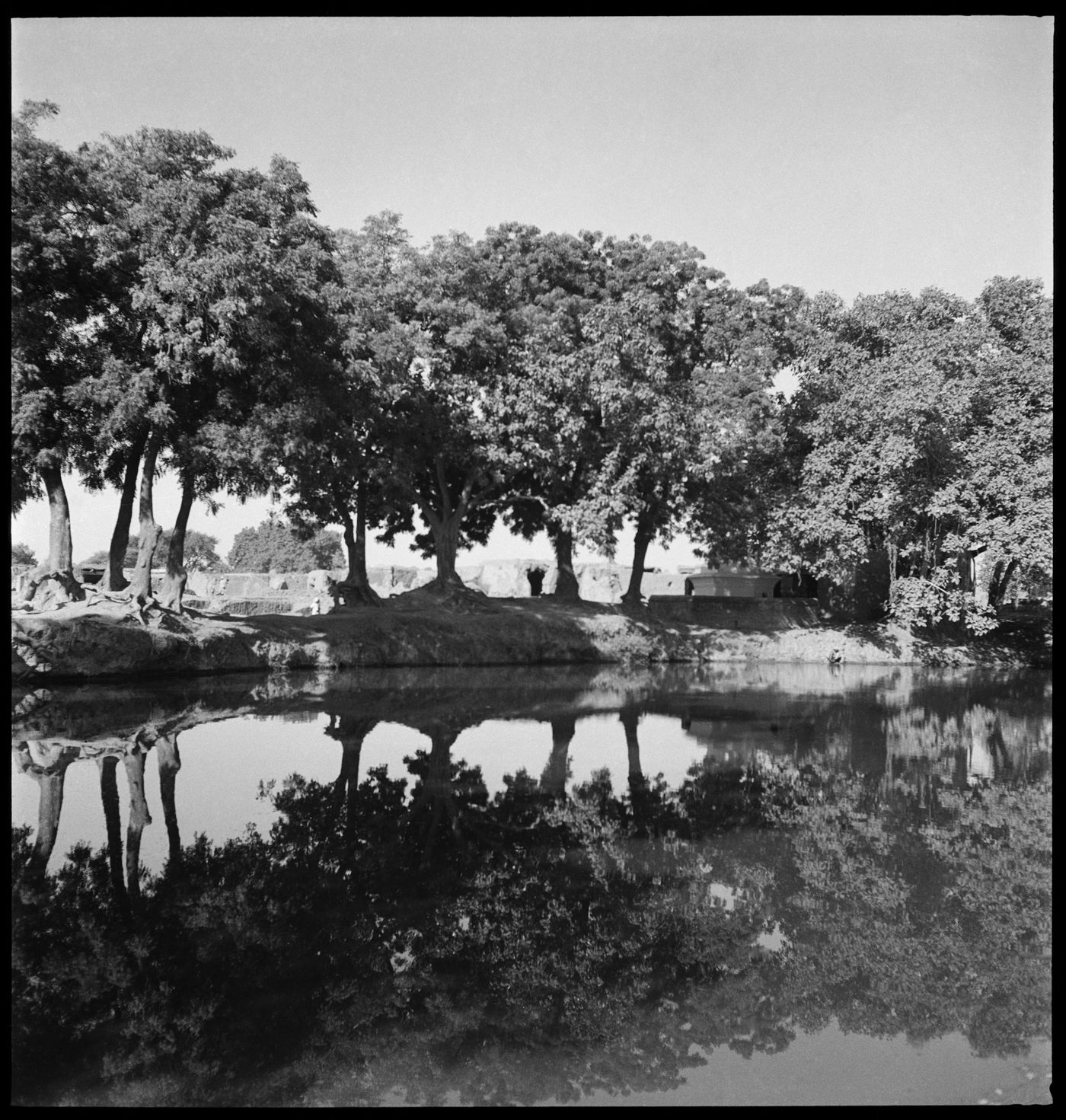 Lake with trees in the background in Chandigarh's area before the construction, India