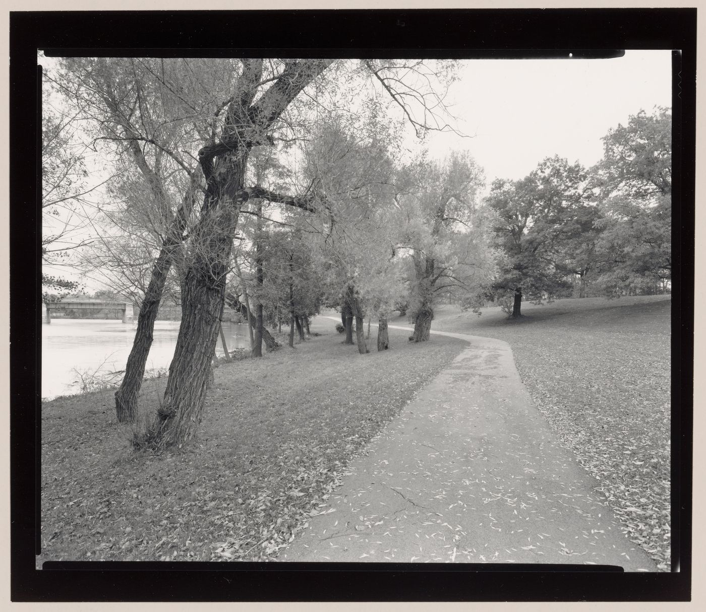 Along the river, Genesee Valley Park, Rochester, New York