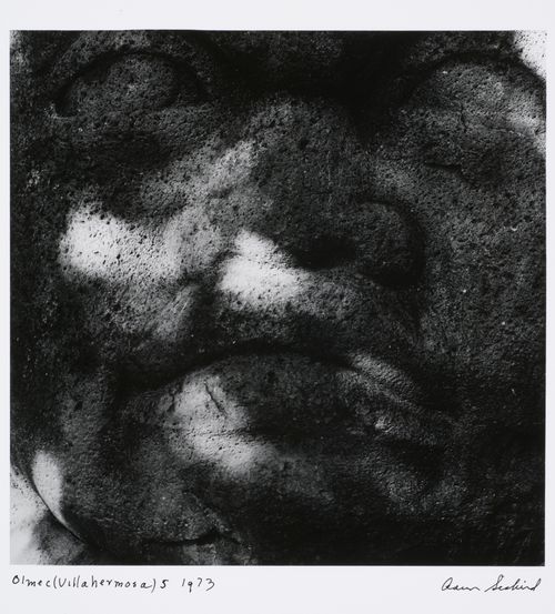 Detail of Olmec-carved rock, Villahermosa, Mexico