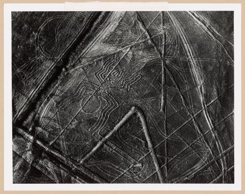 Aerial view of the ancient earthwork "Spider", Nazca, Peru