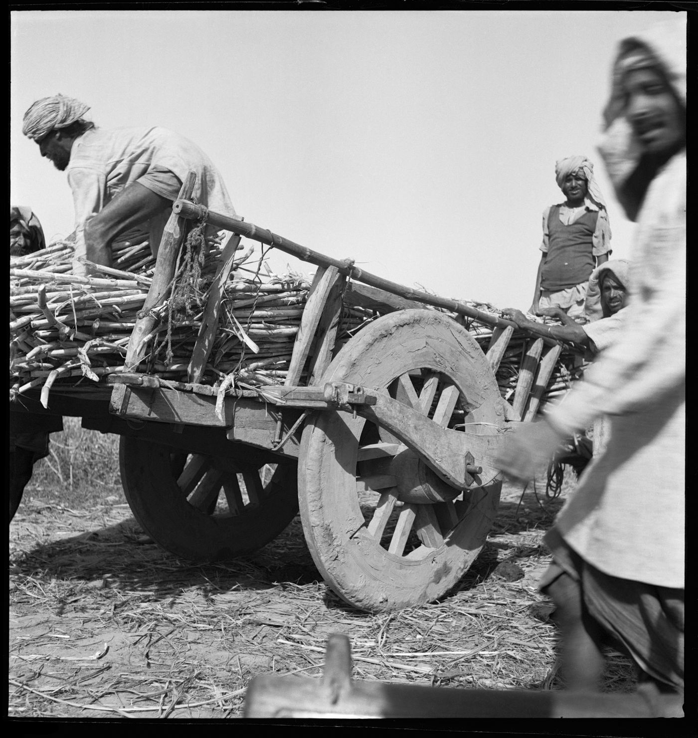 Men around a cart in Chandigarh's area before the construction, India