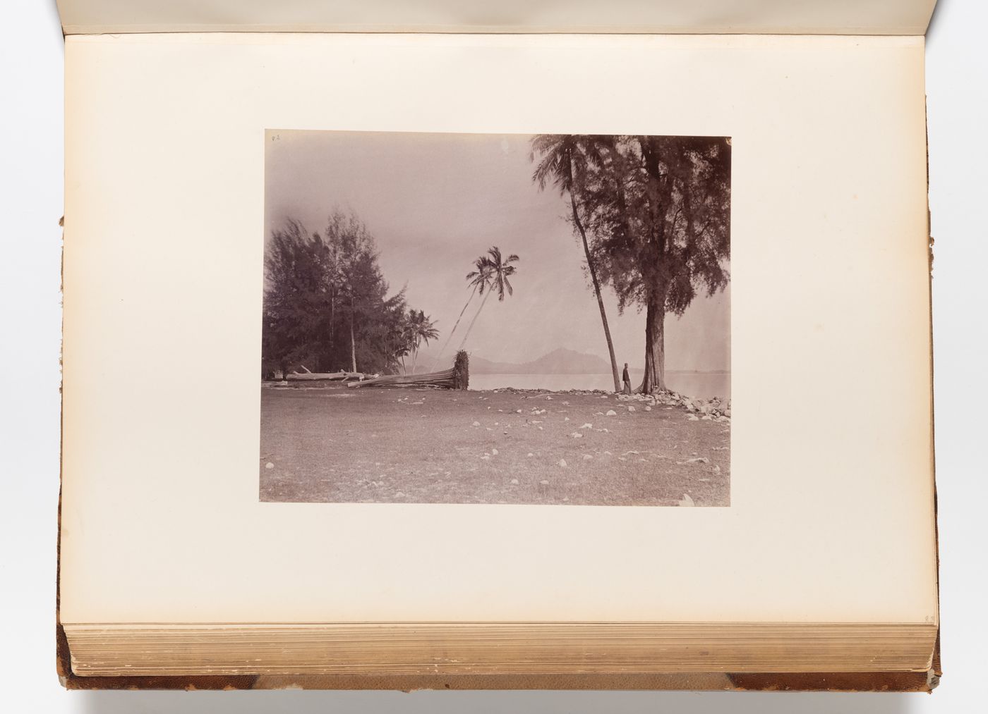 View of the seashore showing trees and men, Penang (now Pinang, Malaysia)