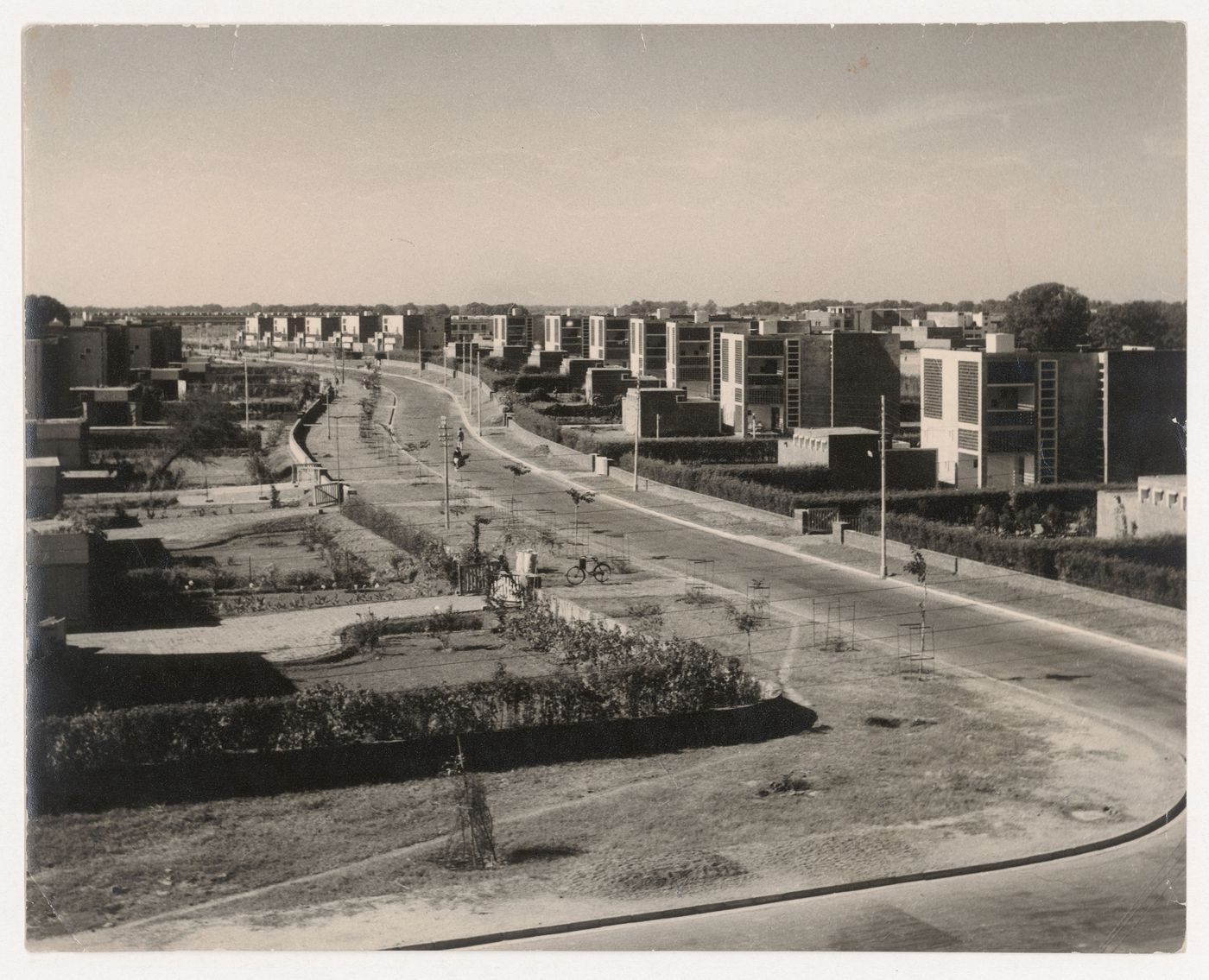 View of a street with Houses Type 4-J, Sector 5, Chandigarh, India