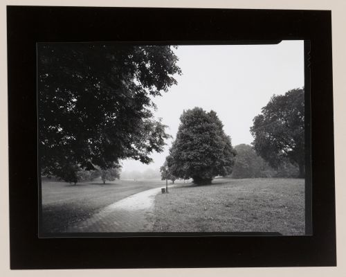 Long Meadow, Prospect Park, Brooklyn, New York City, New York