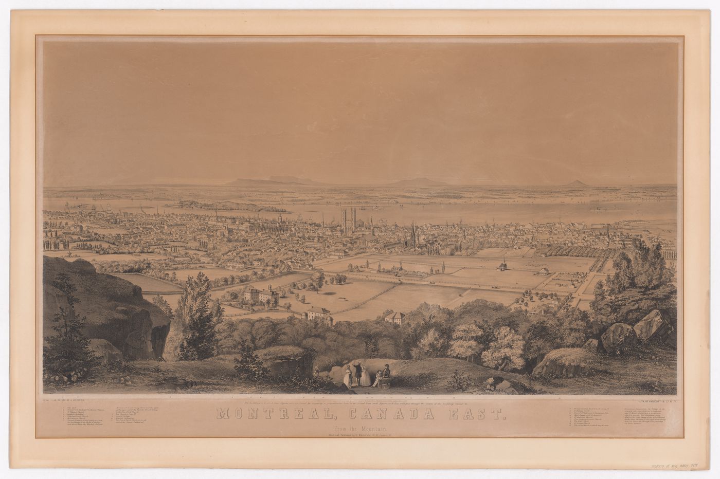 MONTREAL, CANADA EAST. / From the Mountain