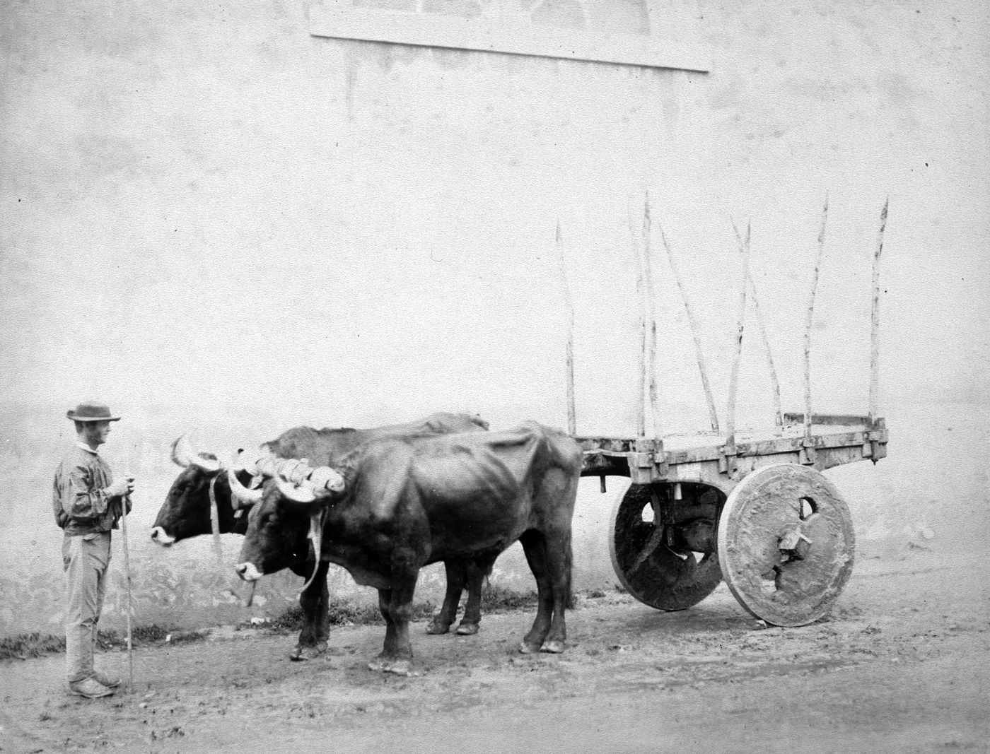 Plate from album ''Views of Italy, Monaco, Algers, Lisbonne, Gibraltar and Montserrat by various photographers''