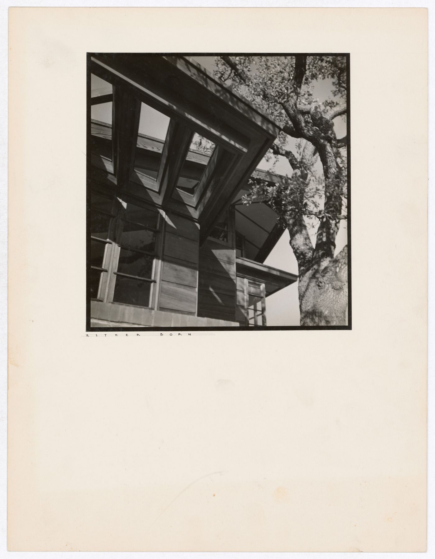 View of the Hanna House showing overhangs, eaves, windows, and a tree, Palo Alto, California, United States