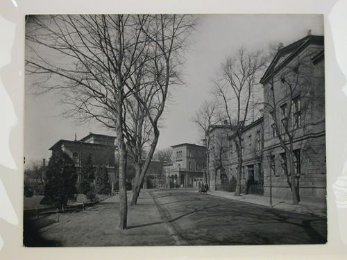 View of a street and houses with a park on the left, Potsdam, Germany