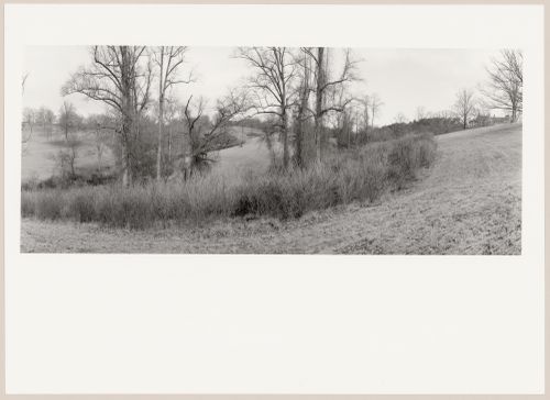 View of Deer Park with the House, Biltmore, The George W. Vanderbilt Estate, Asheville, North Carolina