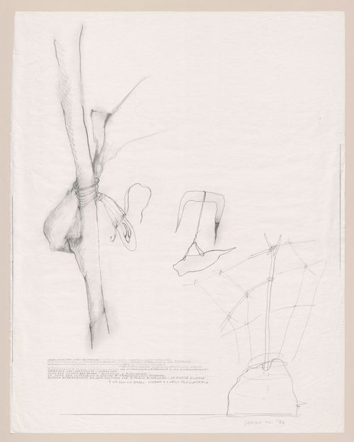 Sketches with notes for Zeno, une cultura autosufficiente [Zeno, a self-sufficient culture]