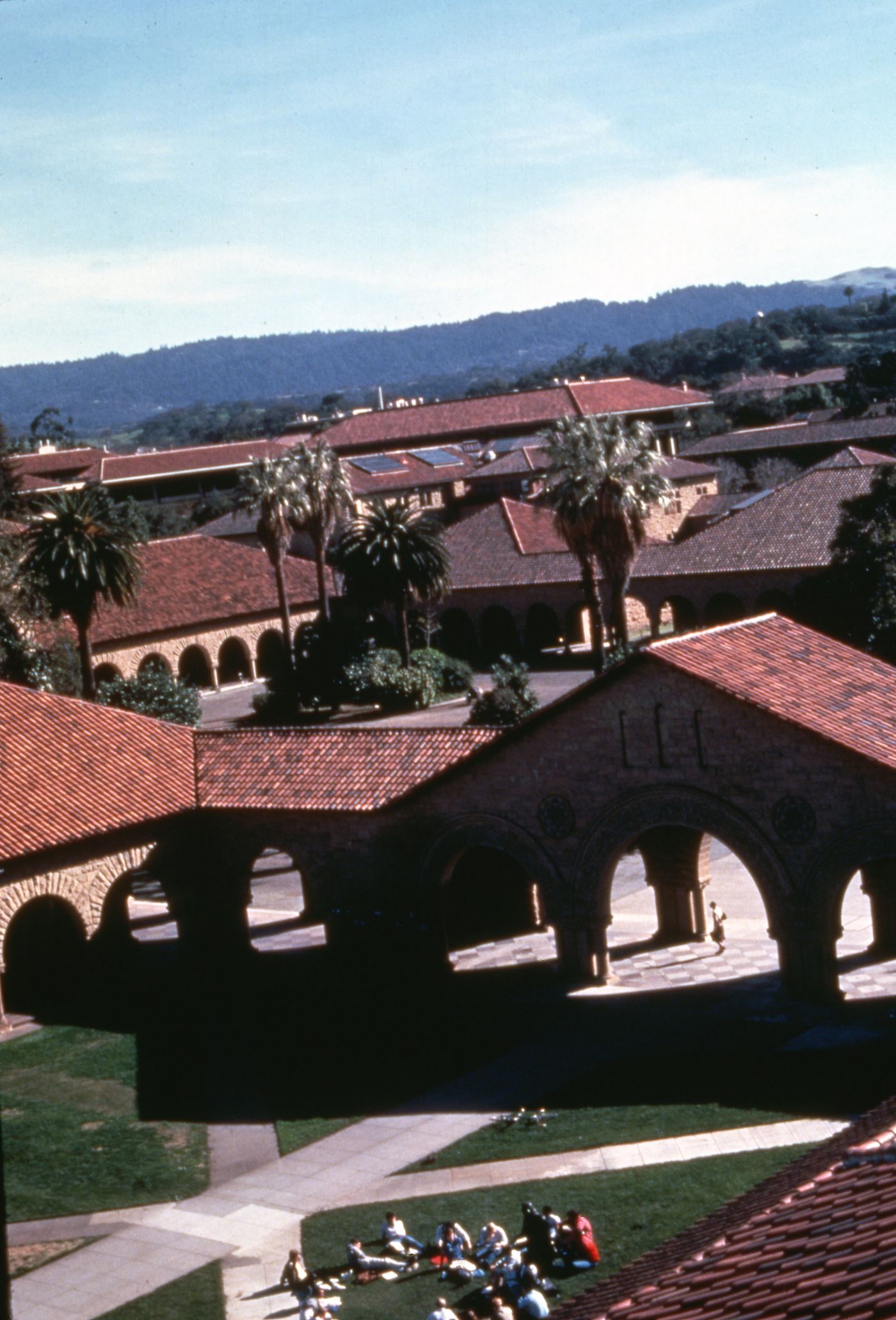 Photograph of Stanford University for research for Olmsted: L'origine del parco urbano e del parco naturale contemporaneo