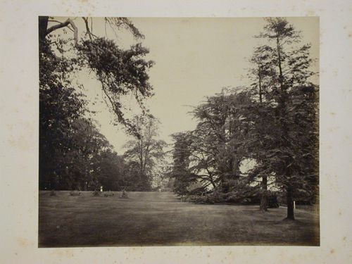 Alexandra Park, England