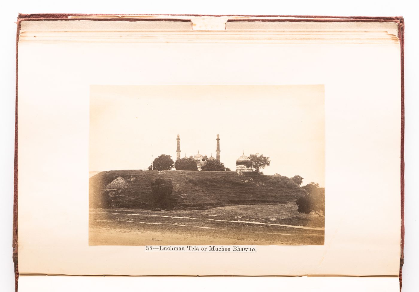 Distant view of the minarets, domes and rooftop of the Machhi Bhavan Fort, Lucknow, India