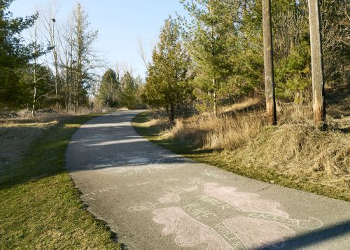 An Enduring Wilderness: Morningside Park, Toronto