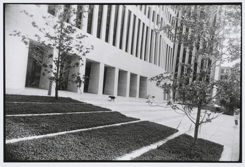 Facade, marble entrance with small dog