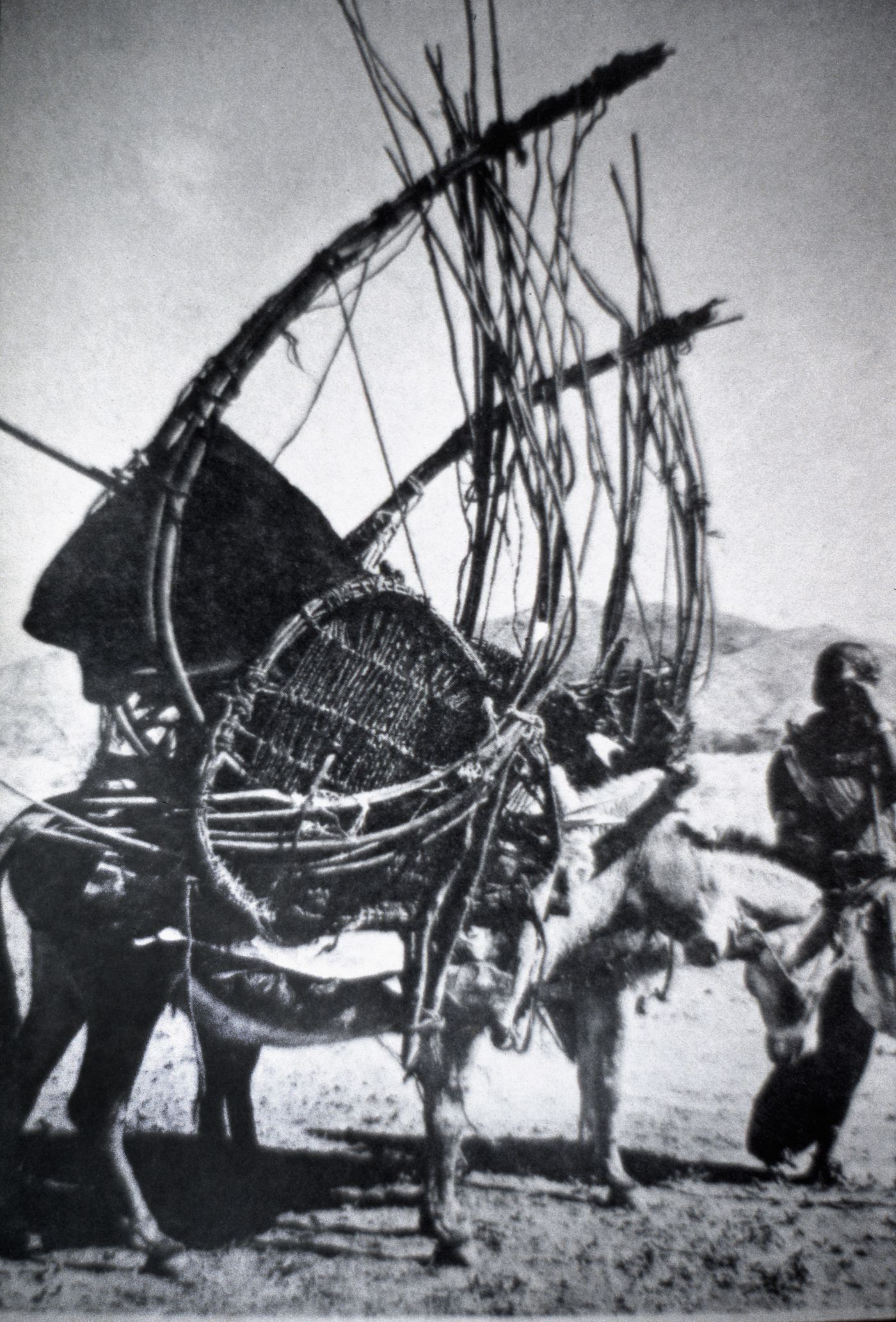 Slide with view of a nomadic structure hoised on a donkey, by unknown source