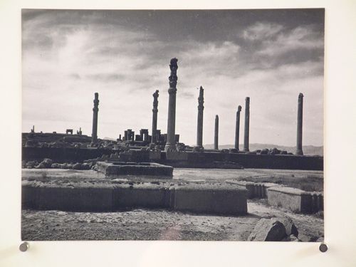 View of the Apadana, Persepolis, Iran