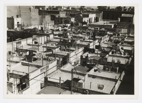 View of house roof tops, Calle del Pino, Mexico City, Mexico
