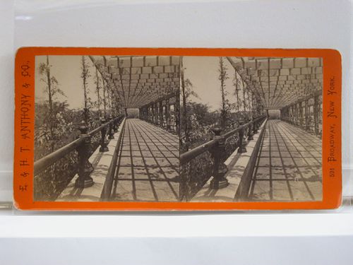 The Vine Clad Arbour, Central Park, New York City