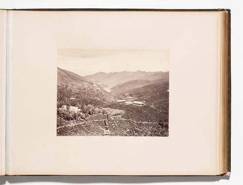 View of the Lawilier Plantation, Ceylon (now Sri Lanka)
