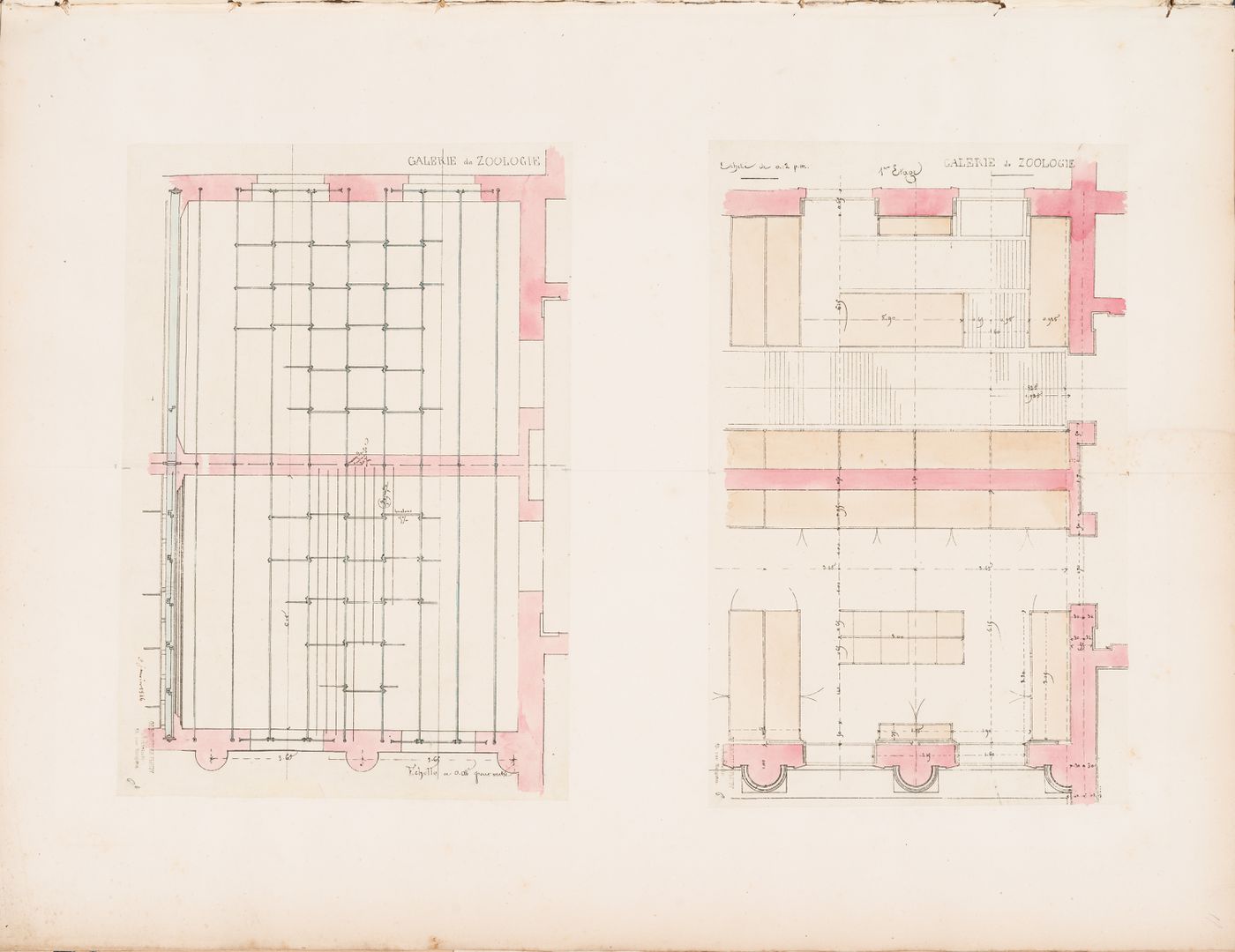 Project for a Galerie de zoologie, 1846: Partial first floor plan for the main wing and partial plan for the floor plan structure