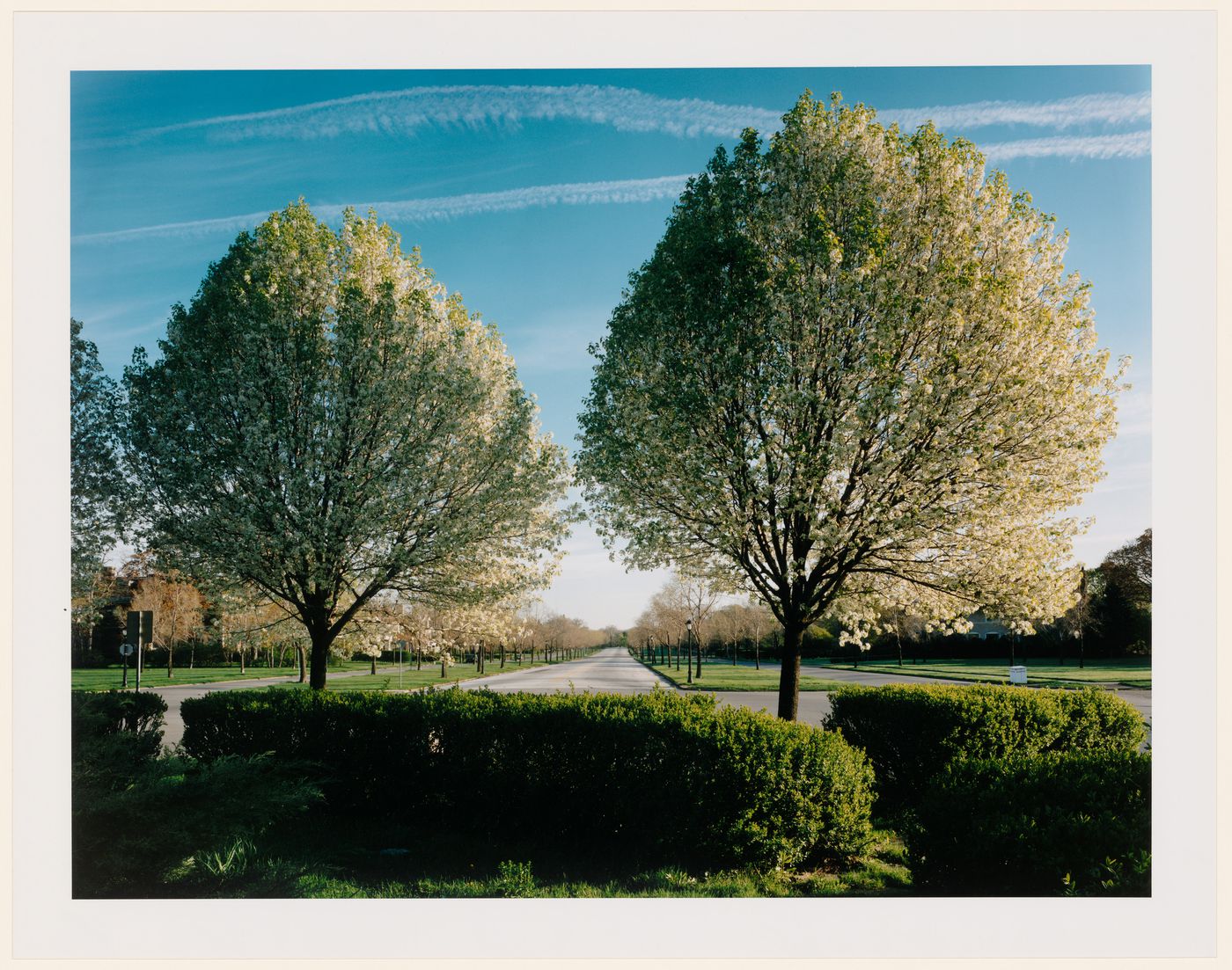 Viewing Olmsted: View of Lincoln Parkway, Buffalo, New York