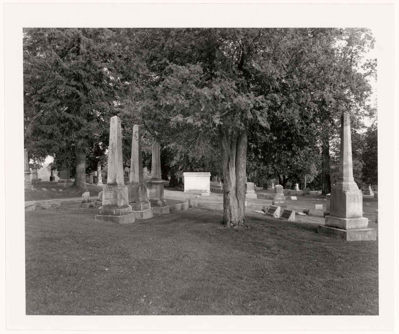 View of monuments in trees, Hillside Cemetery, Middletown, New York