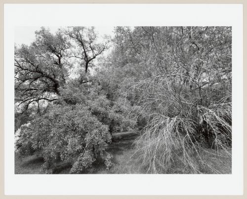 Highland Park, Rochester, New York