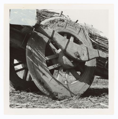 Detail view of a cart wheel, possibly in Chandigarh, India